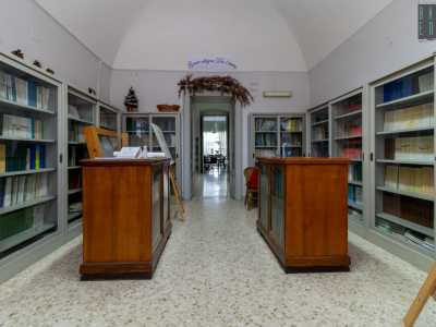 Davanti a noi si aprono una serie di stanze occupate da scaffali colmi di libri...